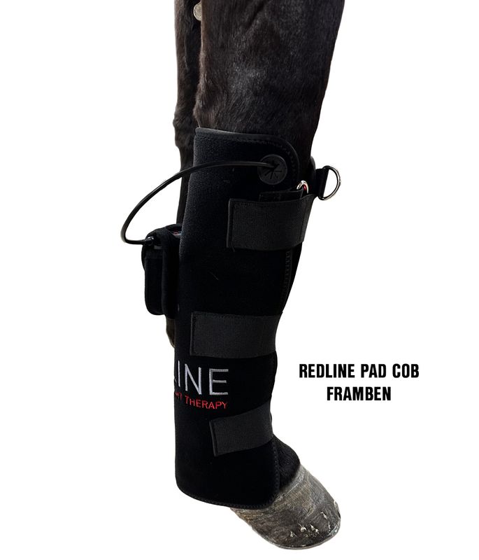 Redline Pad Cob