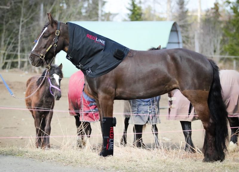 Redline pad til nakke / hals / rygg