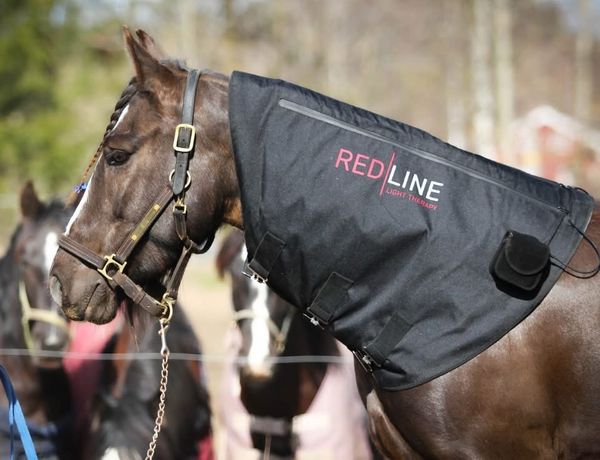 Hovedbilde Redline pad til nakke / hals ...