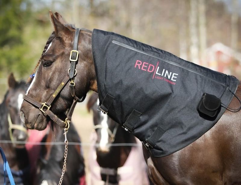 Redline pad til nakke / hals / rygg