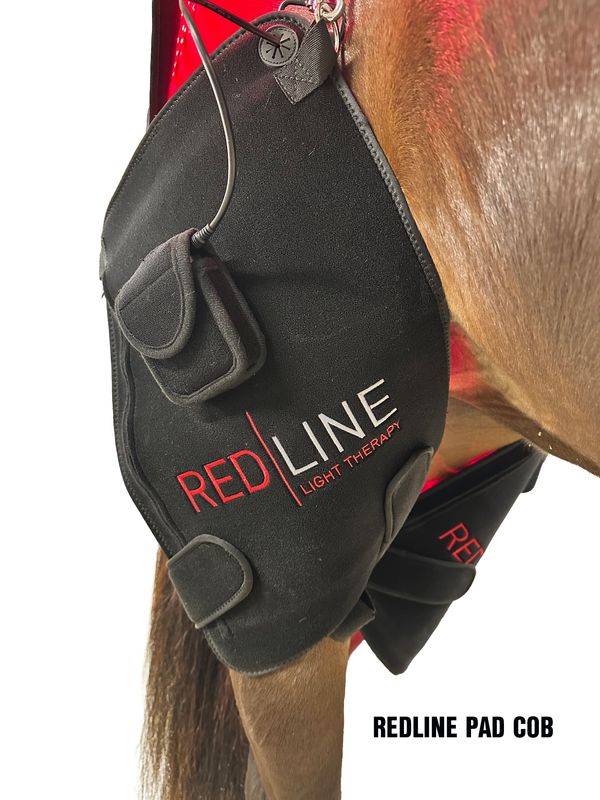 Redline Pad Cob